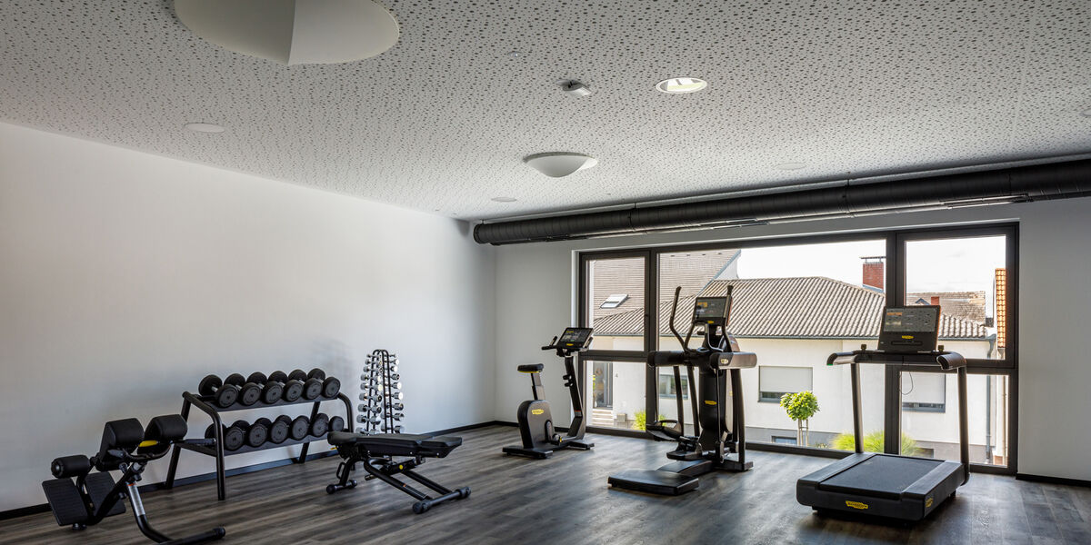 Modern fitness room with fitness equipment, weights and large windows that let in natural light.